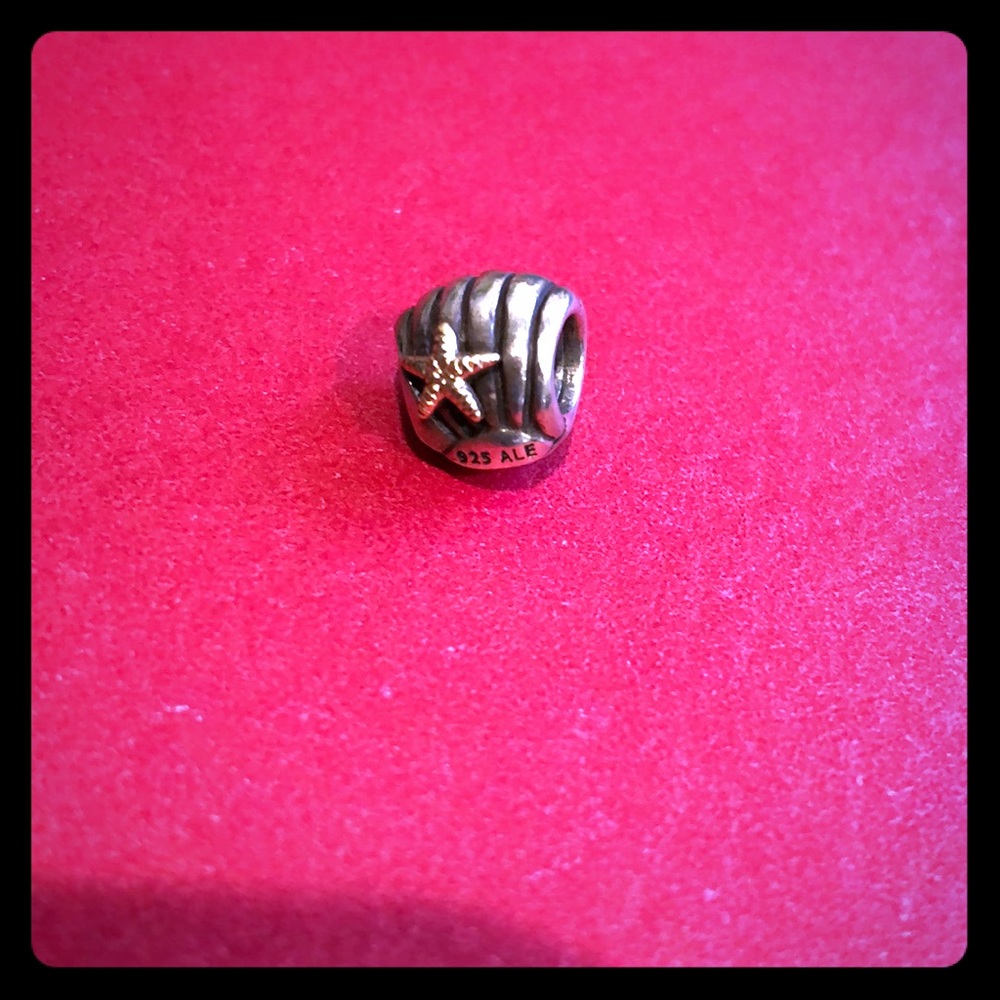 Pandora’s shell charm